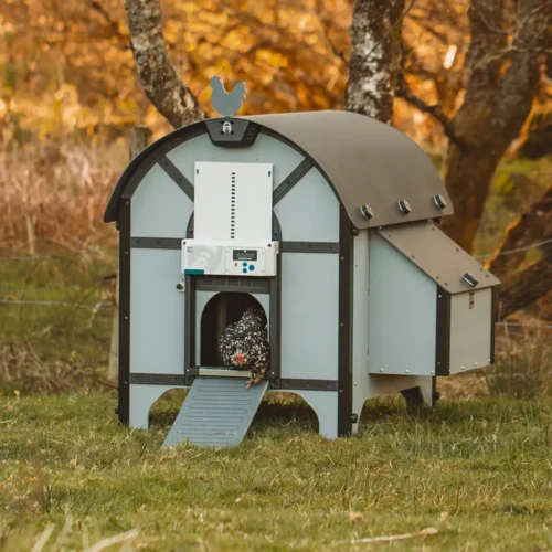 ChickenGuard_coop_the_barn_with_AIO2