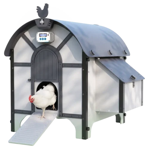 ChickenGuard_coop_the_barn_with_pro_