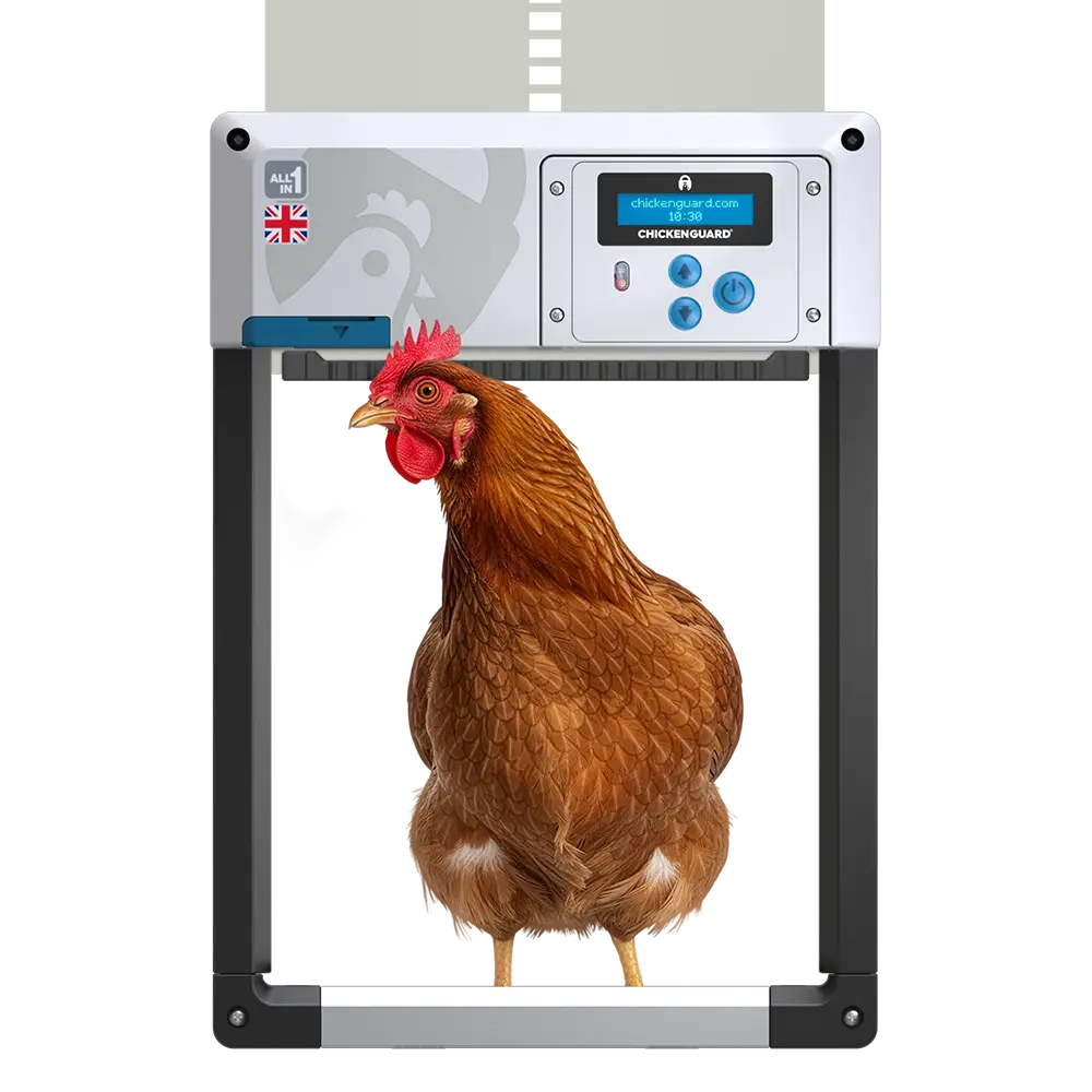 ChickenGuard-all-in-one-autoamtic-chicken-coop-door-grey