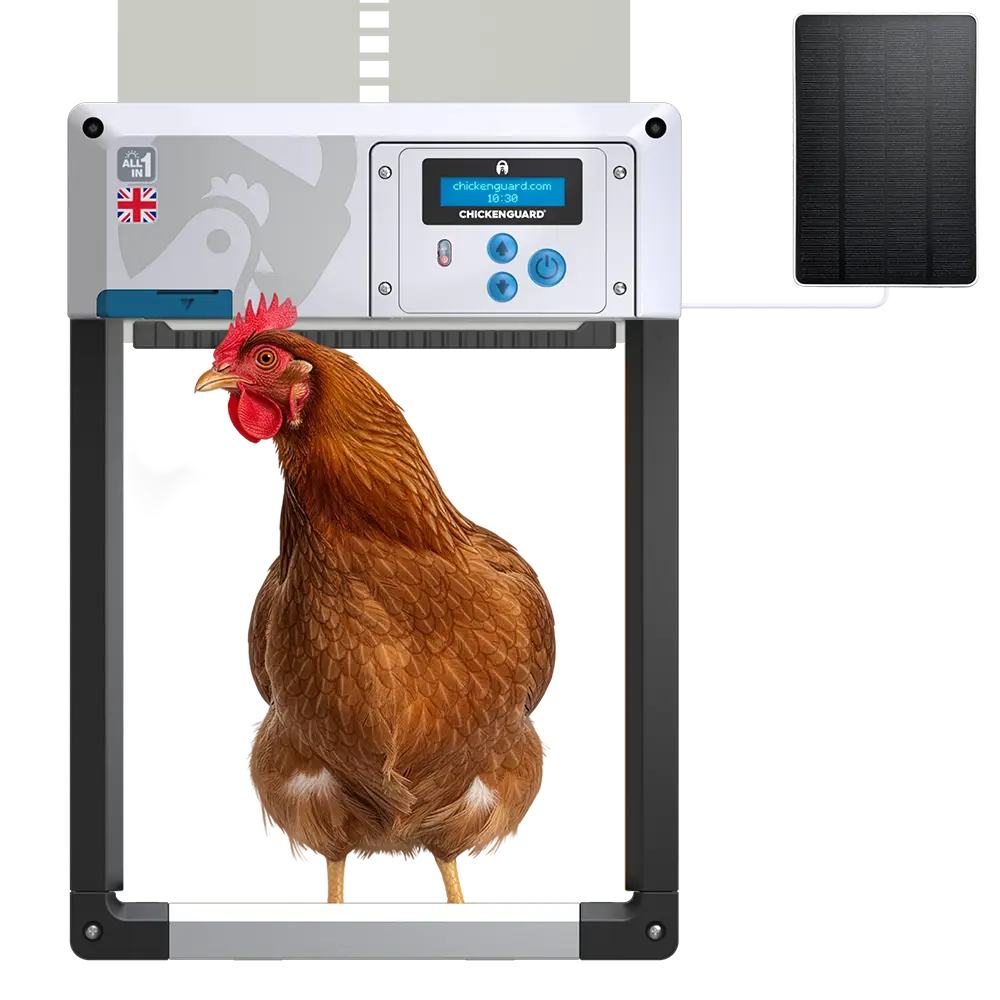 ChickenGuard-all-in-one-solar-autoamtic-chicken-coop-door-grey
