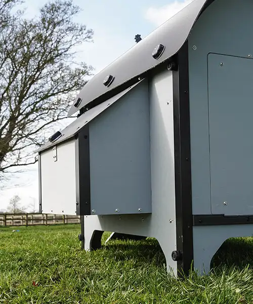 chickenguard_coop_loop2