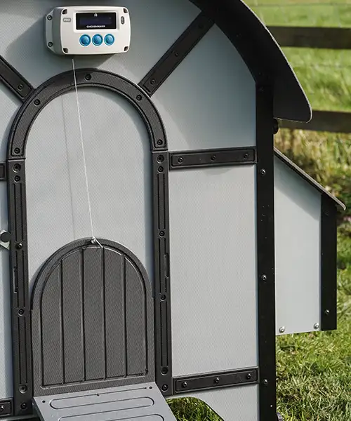 chickenguard_coop_loop4