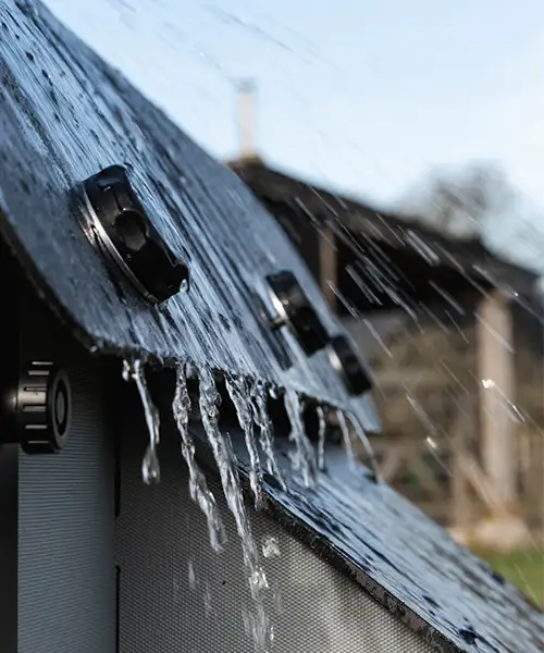 chickenguard_coop_loop7