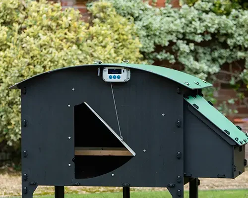 ChickenGuard_coop_ideas3