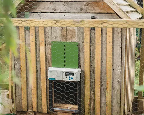 ChickenGuard_coop_ideas4